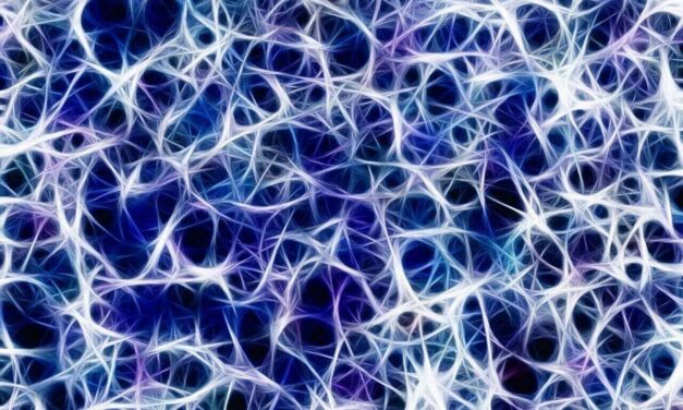 Méditation et neuroplasticité